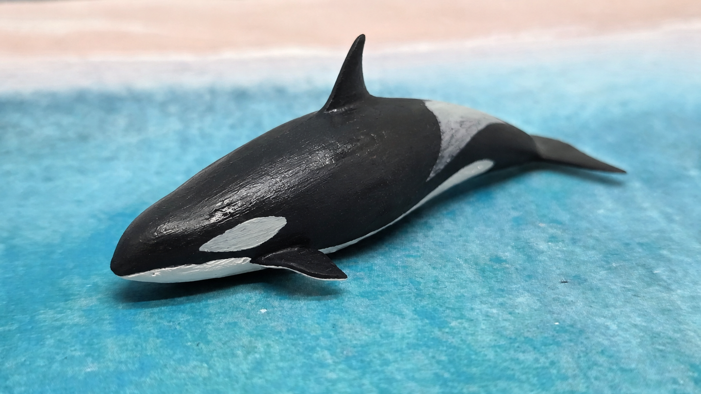 Orca Killerwal Wassertier Meerestier Tier