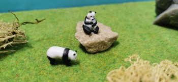 2er Panda-Set – Großer...