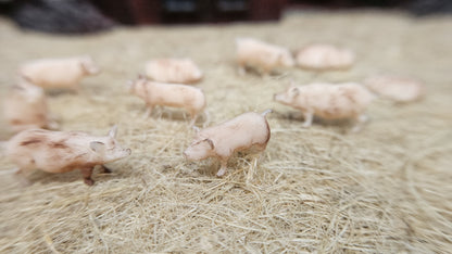 10x Schweine Hausschweine aus Resin 1:87 (H0) - bemalt oder unbemalt
