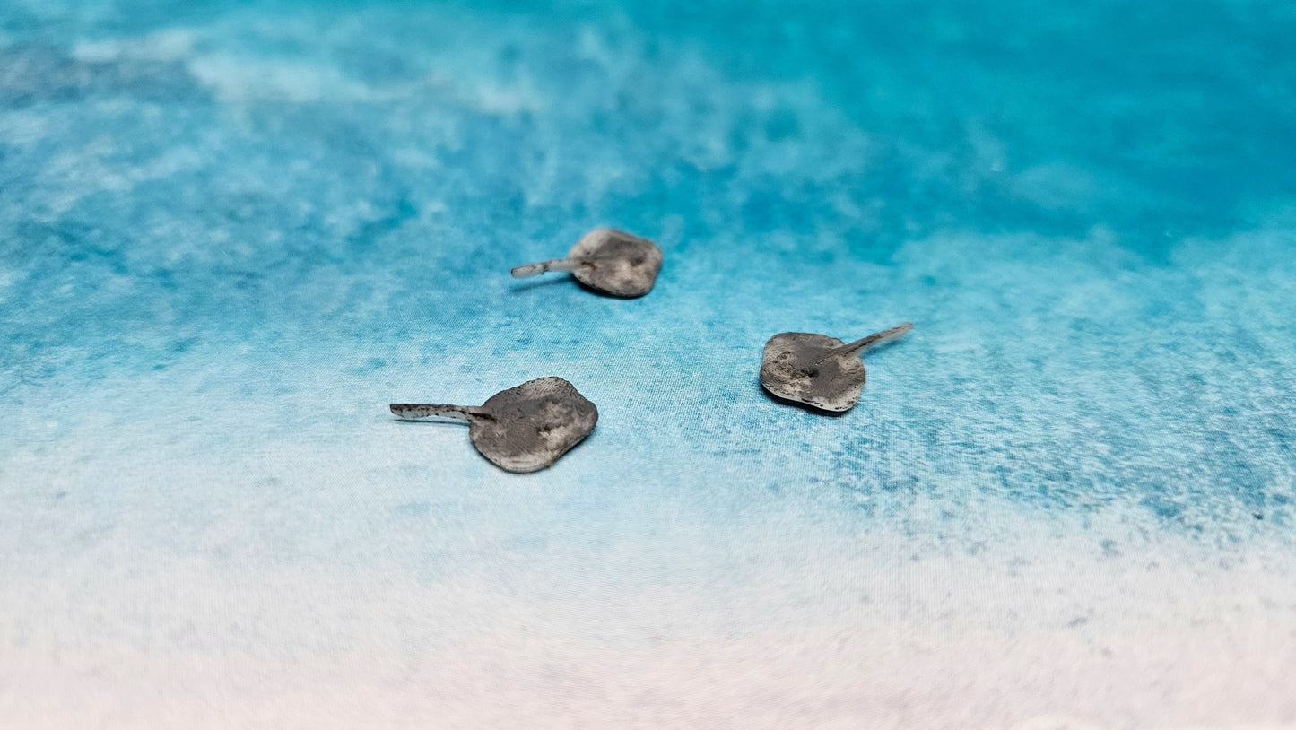 3x Stachelrochen  Fisch Tier Wasser Meer