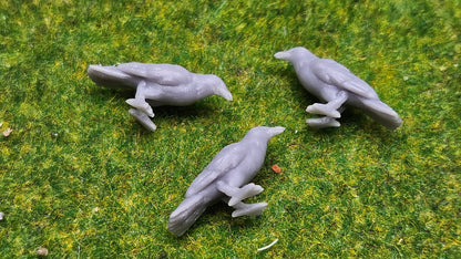 3x Kolkrabe Rabe aus Resin - bemalt oder unbemalt - verschiedene Maßstäbe