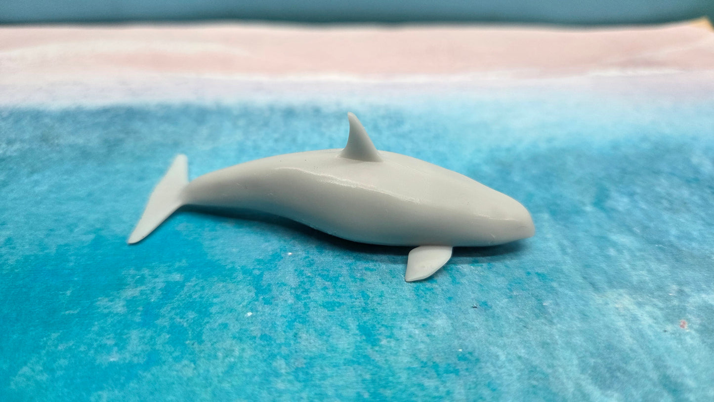 Orca Killerwal Wassertier Meerestier Tier
