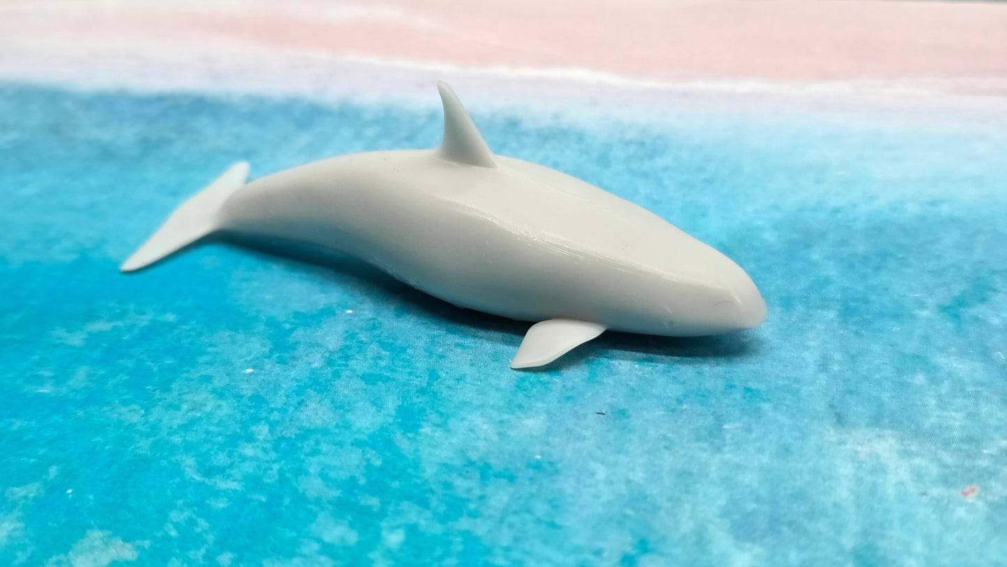 Orca Killerwal Wassertier Meerestier Tier