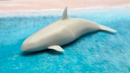 Orca Killerwal Wassertier Meerestier Tier
