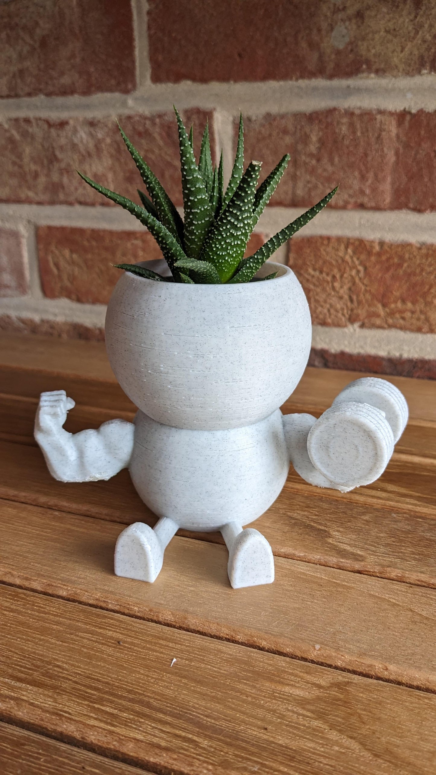 Harry Plant "Arniplant" lustiger Blumentopf mit dicken Muskeln