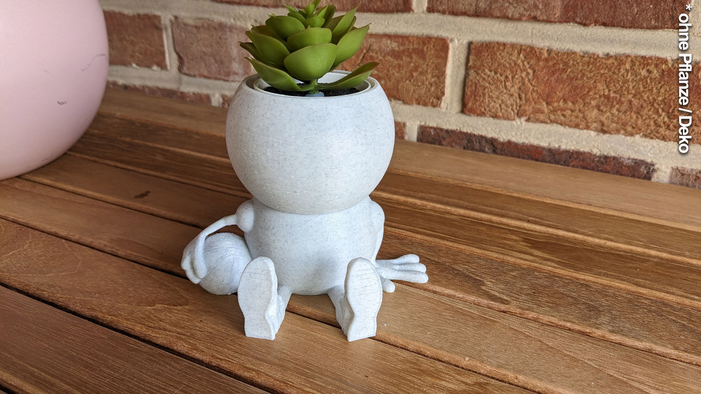 Harry Plant "Michael Airplant" lustiger Blumentopf mit Basketball