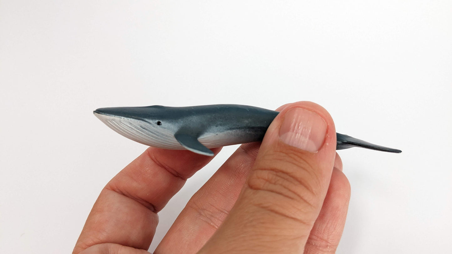 Blauwal Wasser Tier Modell Figur Zoo 1:200 (Spur Z) - bemalt