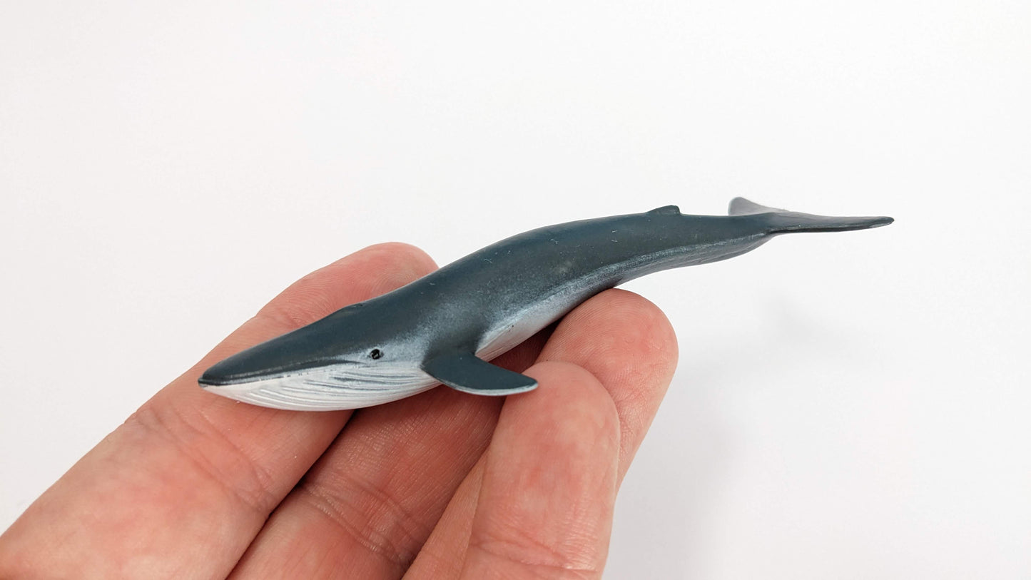 Blauwal Wasser Tier Modell Figur Zoo 1:200 (Spur Z) - bemalt