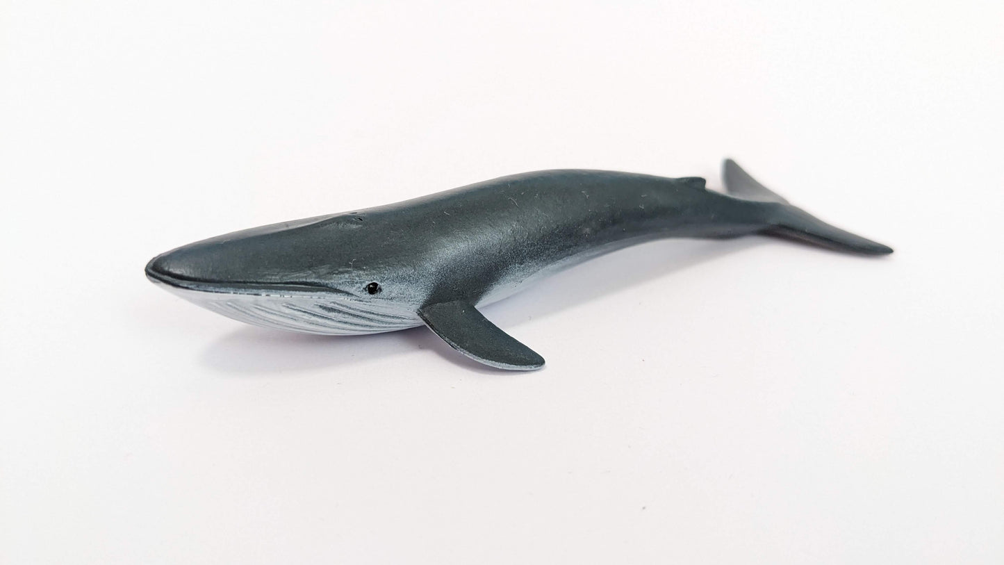 Blauwal Wasser Tier Modell Figur Zoo 1:200 (Spur Z) - bemalt