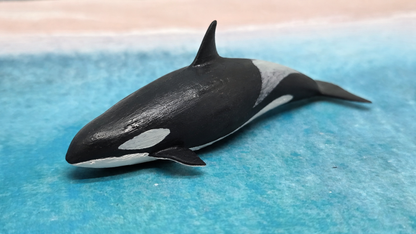 Orca Killerwal Wassertier Meerestier Tier