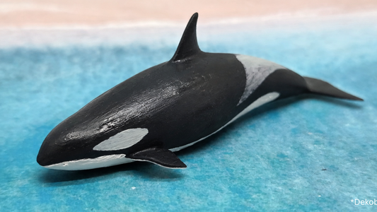 Orca Killerwal Wassertier Meerestier Tier