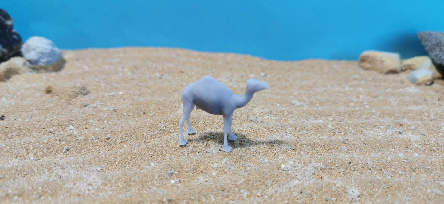 Dromedar / Wüsten Kamel aus Resin 1:87 (H0) - bemalt oder unbemalt