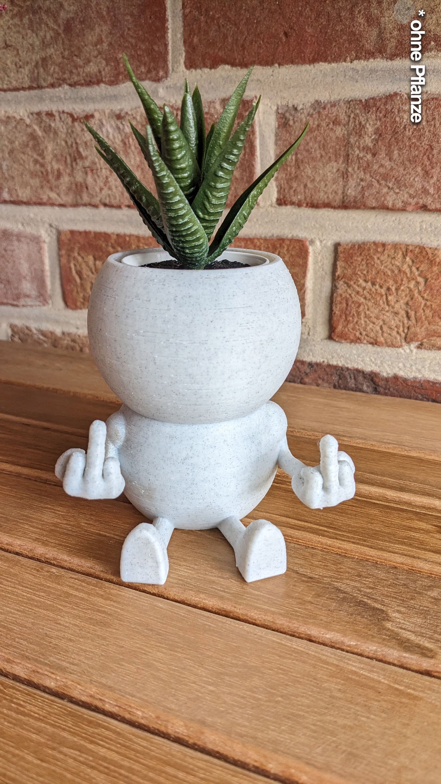 Harry Plant "Hello All" lustiger Blumentopf mit Mittelfingern