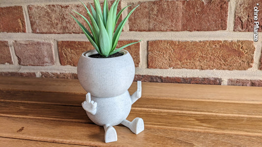 Harry Plant "You... me too" lustiger Blumentopf