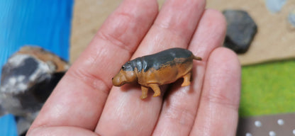 2x Figuren Set Hippo Tiere Flusspferd 1:87 (H0) - bemalt