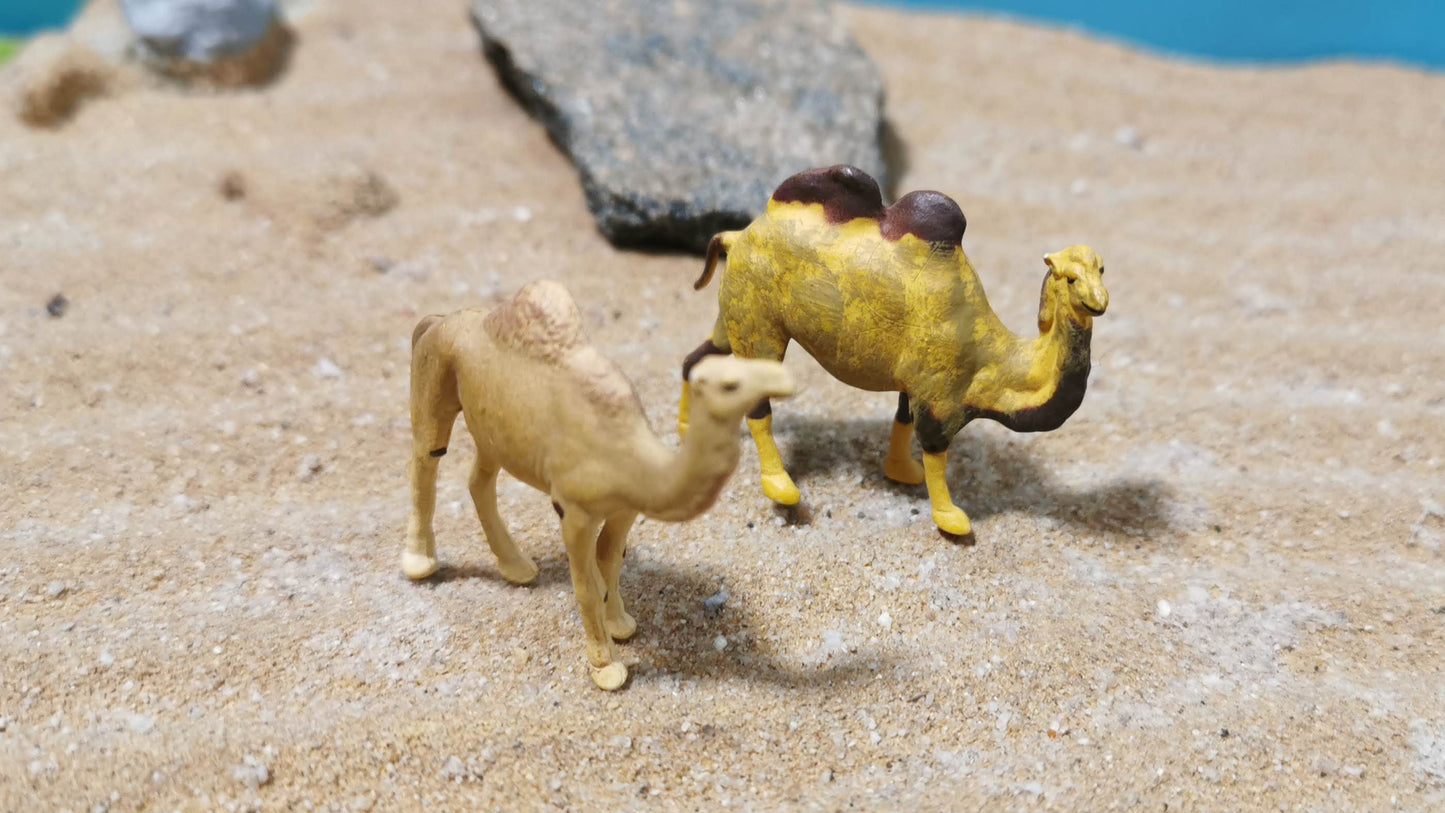 2x Kamele Dromedar Figuren Set Tiere 1:87 (H0) - bemalt