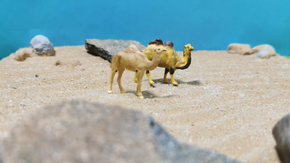2x Kamele Dromedar Figuren Set Tiere 1:87 (H0) - bemalt