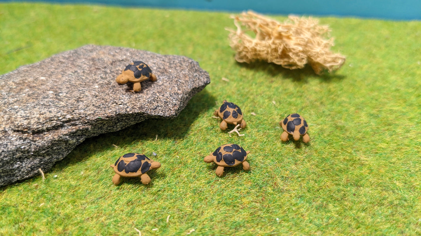 5x Schildkröten aus Resin 1:87 (H0) - bemalt oder unbemalt