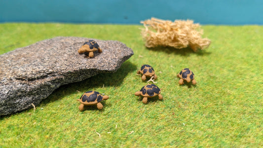 5x Schildkröten aus Resin 1:87 (H0) - bemalt oder unbemalt