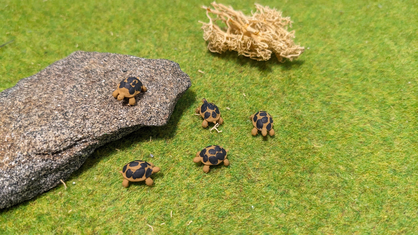 5x Schildkröten aus Resin 1:87 (H0) - bemalt oder unbemalt