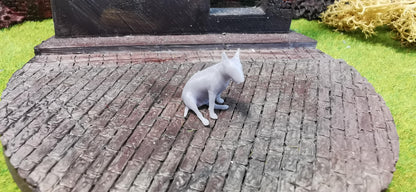 Pittbull Hund Bullterrier Tier
