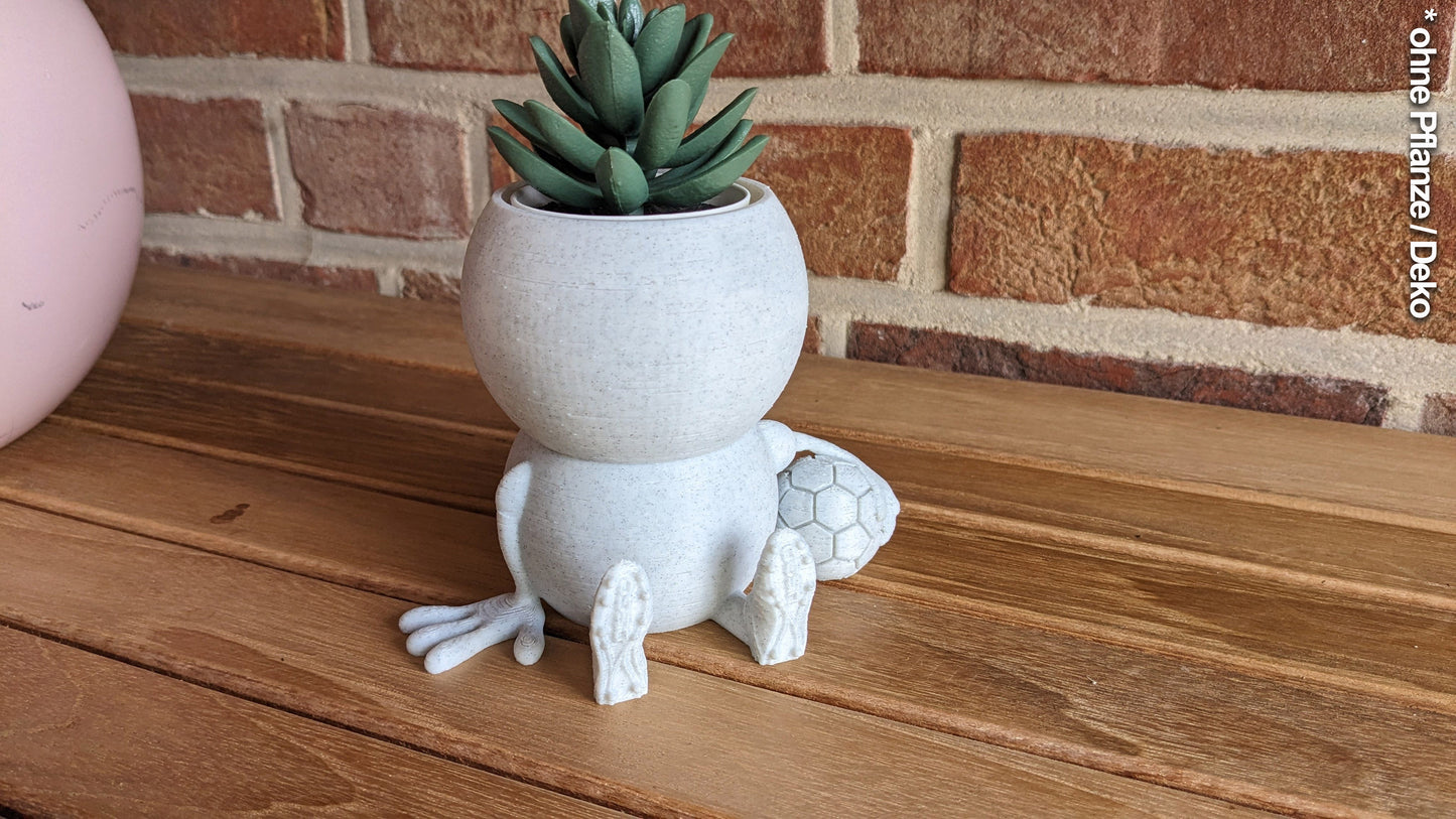 Harry Plant "Franz Soccerplant" lustiger Blumentopf mit Fussball