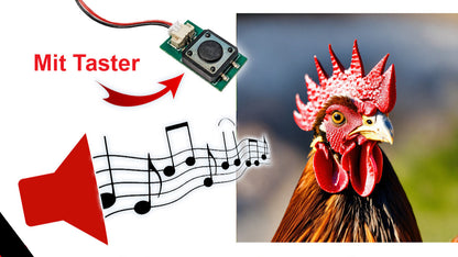 Soundmodul "Krähender Hahn" mit Lautsprecher + Taster