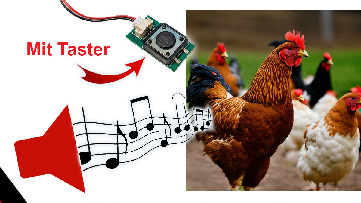 Soundmodul "Hühnerstall" mit Lautsprecher + Taster