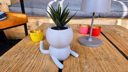 Harry Plant Yoga No. 1 lustiger Blumentopf zeigt Yoga Übung